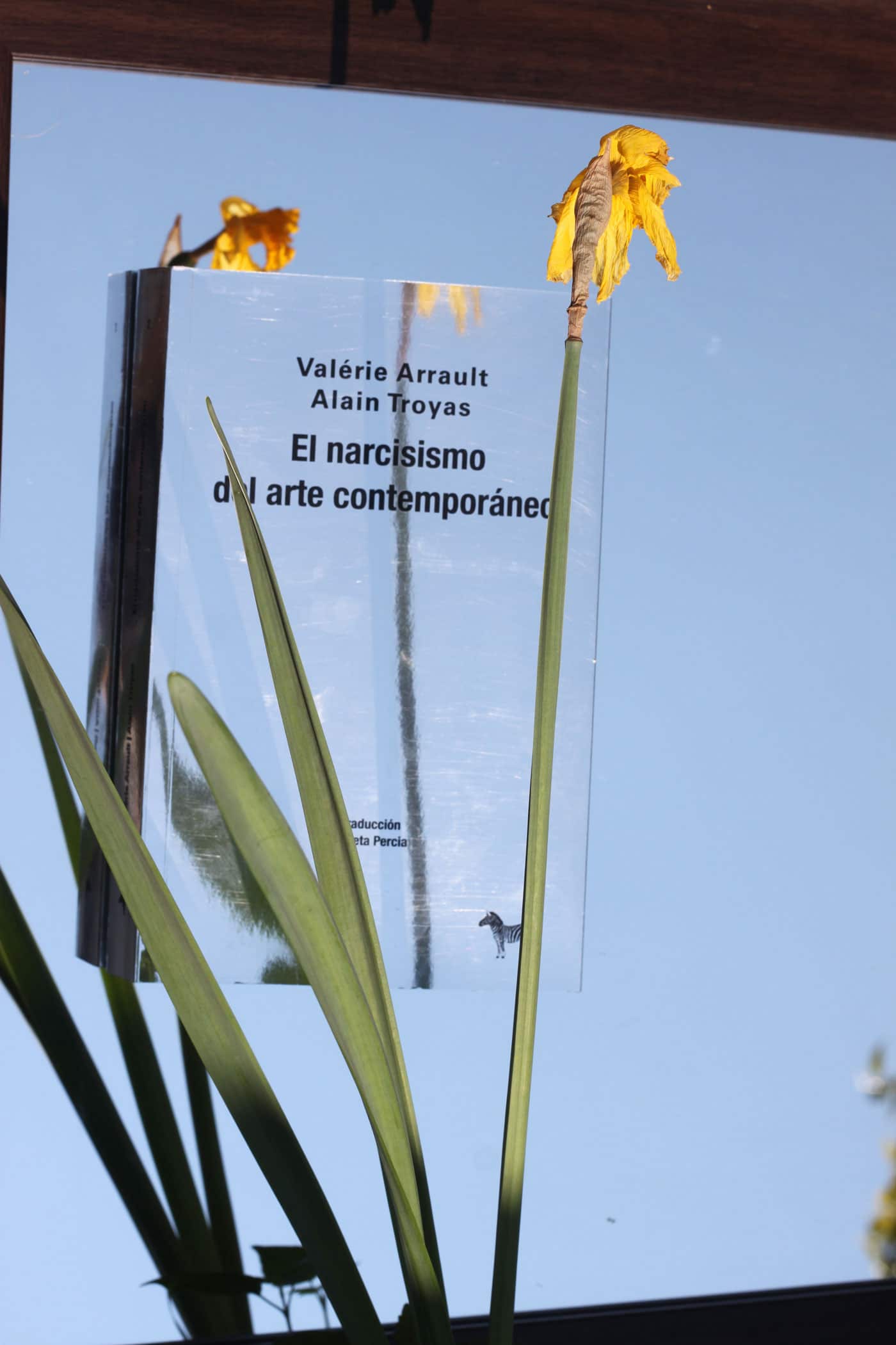 El narcisismo del arte contemporáneo
