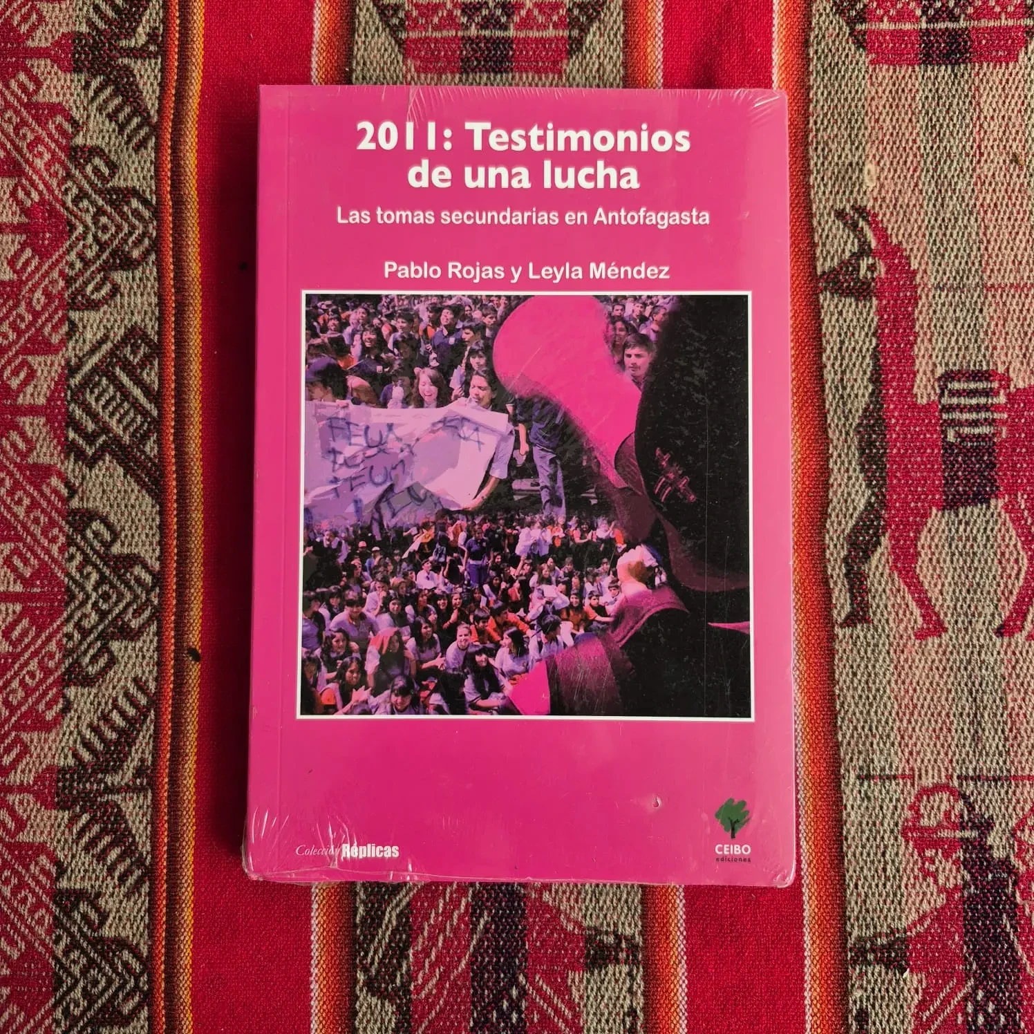 2011: Testimonios de una lucha