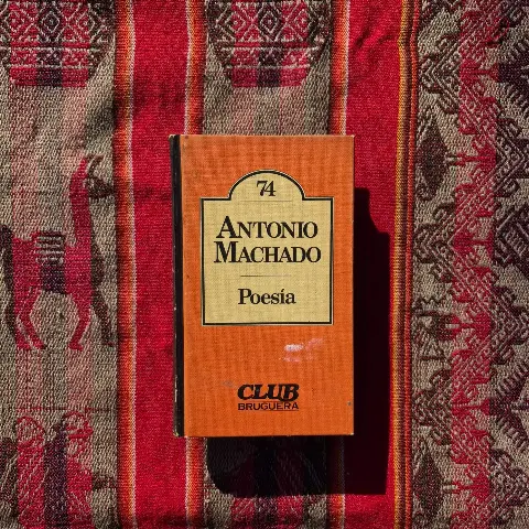 Antonio Machado poesía